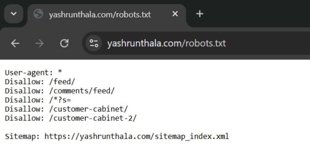 How to check robots.txt File